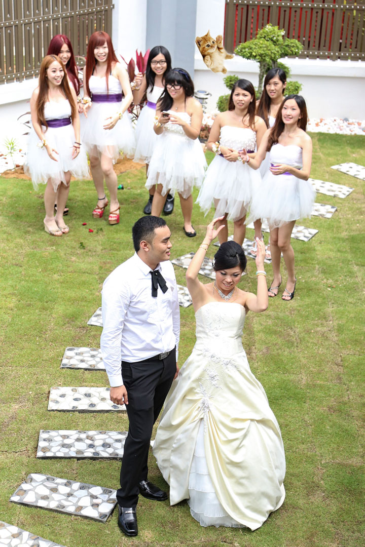 le-lancer-de-chats-dans-les-mariages-le-nouveau-phenomene-delirant-sur-internet34