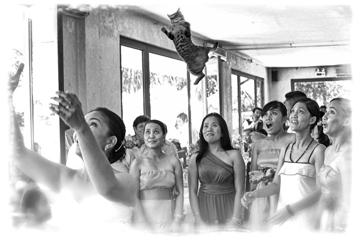 le-lancer-de-chats-dans-les-mariages-le-nouveau-phenomene-delirant-sur-internet38