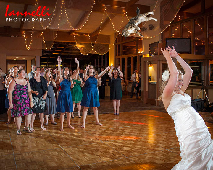 le-lancer-de-chats-dans-les-mariages-le-nouveau-phenomene-delirant-sur-internet43