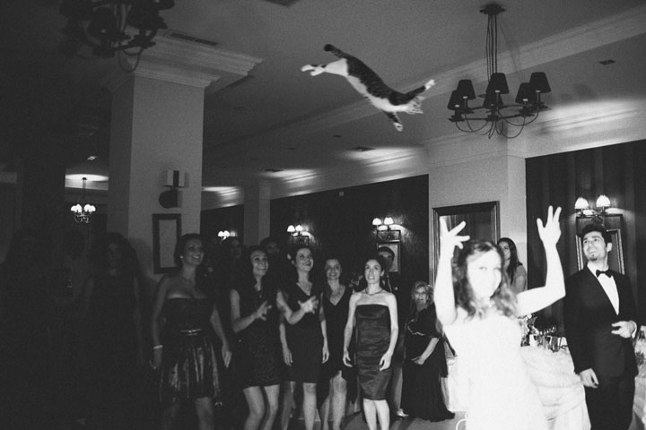 le-lancer-de-chats-dans-les-mariages-le-nouveau-phenomene-delirant-sur-internet44