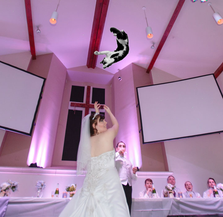 le-lancer-de-chats-dans-les-mariages-le-nouveau-phenomene-delirant-sur-internet49