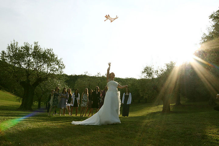 le-lancer-de-chats-dans-les-mariages-le-nouveau-phenomene-delirant-sur-internet4