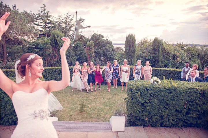 le-lancer-de-chats-dans-les-mariages-le-nouveau-phenomene-delirant-sur-internet57