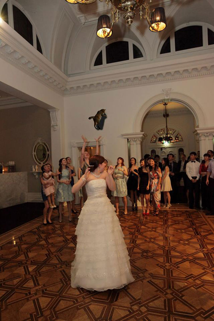 le-lancer-de-chats-dans-les-mariages-le-nouveau-phenomene-delirant-sur-internet58