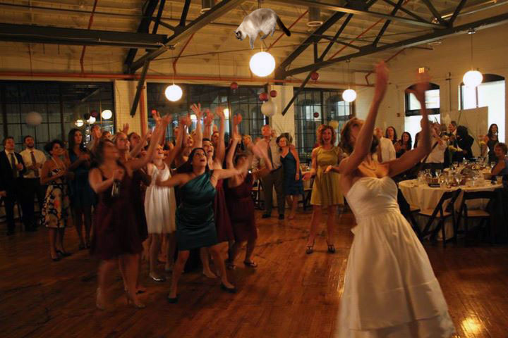 le-lancer-de-chats-dans-les-mariages-le-nouveau-phenomene-delirant-sur-internet5