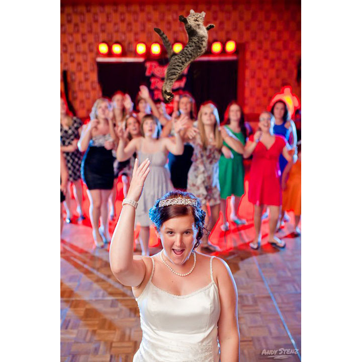 le-lancer-de-chats-dans-les-mariages-le-nouveau-phenomene-delirant-sur-internet6