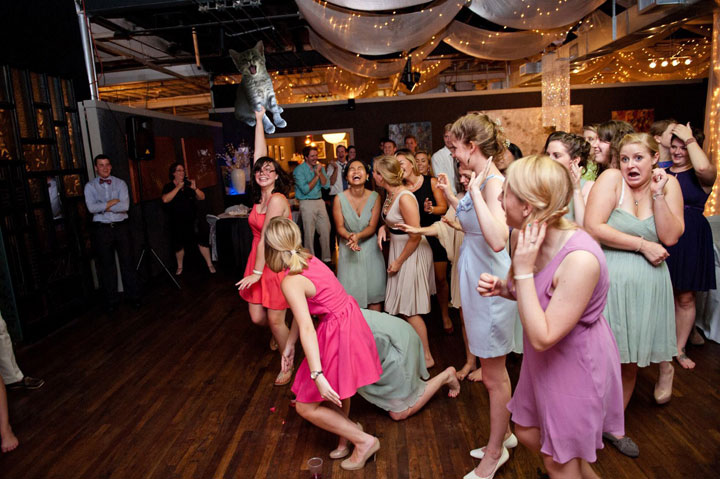 le-lancer-de-chats-dans-les-mariages-le-nouveau-phenomene-delirant-sur-internet7