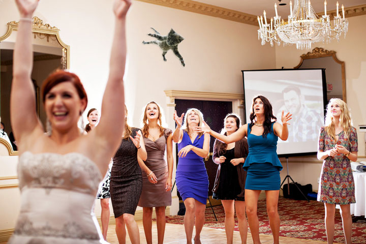 le-lancer-de-chats-dans-les-mariages-le-nouveau-phenomene-delirant-sur-internet8