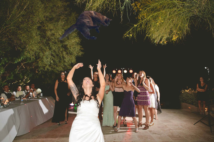 le-lancer-de-chats-dans-les-mariages-le-nouveau-phenomene-delirant-sur-internet9