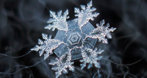 les-flocons-de-neige-tels-que-vous-ne-les-avez-jamais-vus-a-travers-de-magnifiques-cliches-macroscopiques-une