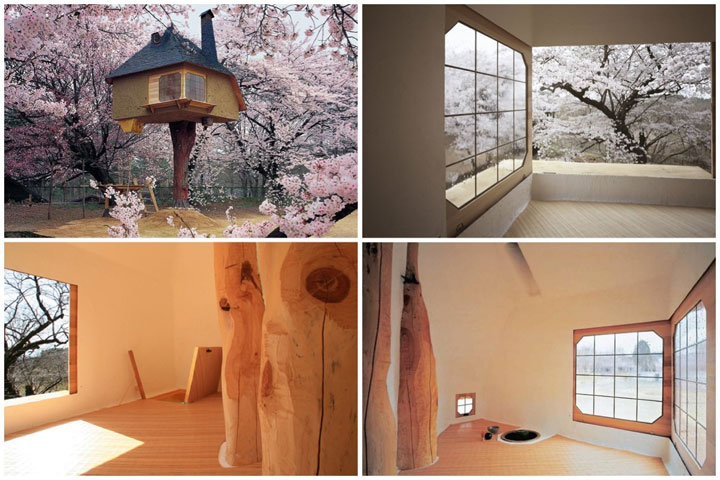 prenez-de-la-hauteur-avec-ses-somptueuses-maisons-perchees-dans-les-arbres1