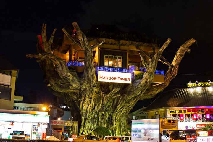 prenez-de-la-hauteur-avec-ses-somptueuses-maisons-perchees-dans-les-arbres14
