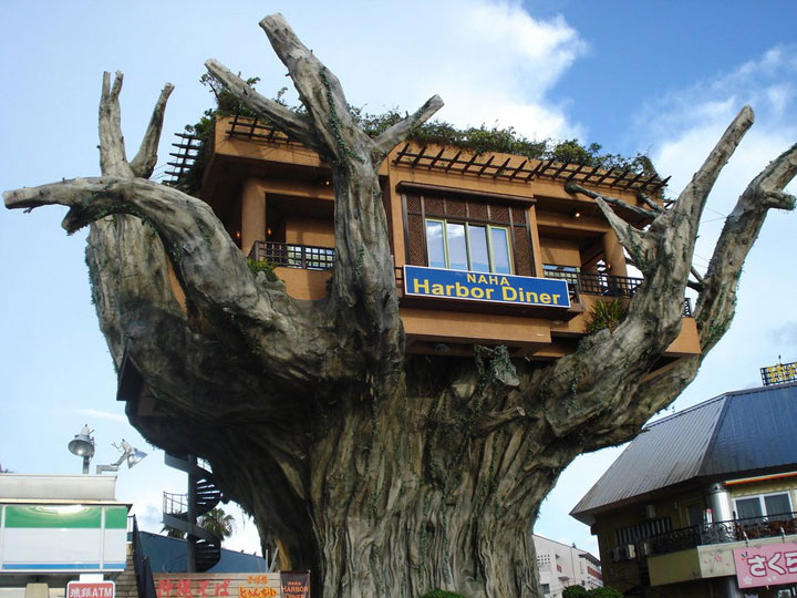 prenez-de-la-hauteur-avec-ses-somptueuses-maisons-perchees-dans-les-arbres17