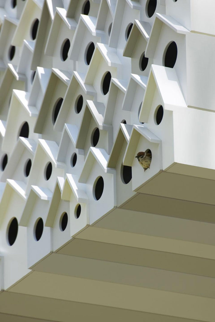 prenez-de-la-hauteur-avec-ses-somptueuses-maisons-perchees-dans-les-arbres20