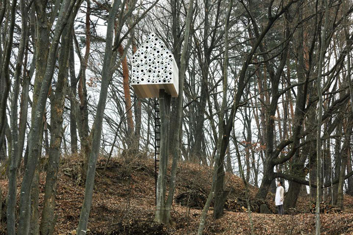 prenez-de-la-hauteur-avec-ses-somptueuses-maisons-perchees-dans-les-arbres21