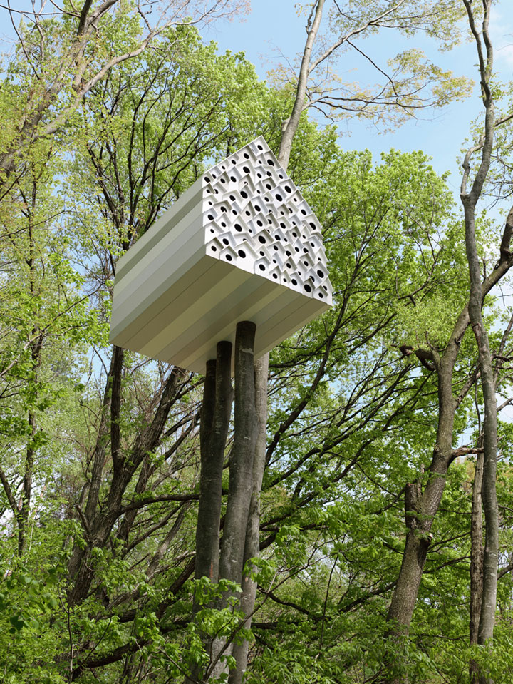 prenez-de-la-hauteur-avec-ses-somptueuses-maisons-perchees-dans-les-arbres22