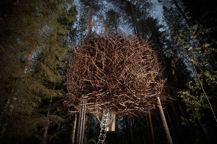 prenez-de-la-hauteur-avec-ses-somptueuses-maisons-perchees-dans-les-arbres24