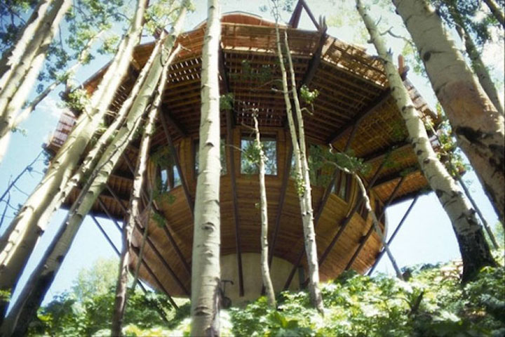 prenez-de-la-hauteur-avec-ses-somptueuses-maisons-perchees-dans-les-arbres26