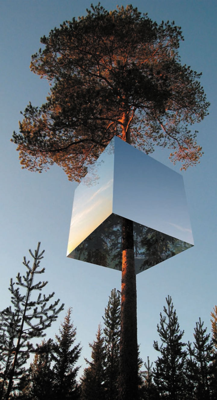 prenez-de-la-hauteur-avec-ses-somptueuses-maisons-perchees-dans-les-arbres51