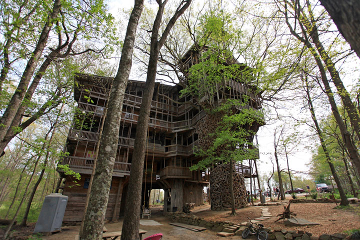 prenez-de-la-hauteur-avec-ses-somptueuses-maisons-perchees-dans-les-arbres6