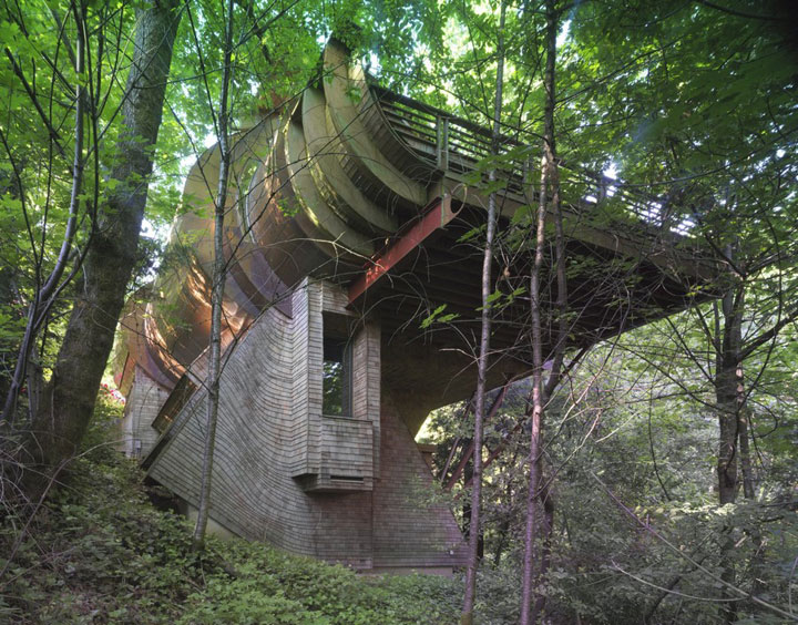prenez-de-la-hauteur-avec-ses-somptueuses-maisons-perchees-dans-les-arbres77