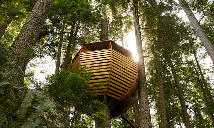 prenez-de-la-hauteur-avec-ses-somptueuses-maisons-perchees-dans-les-arbresUne