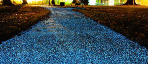 promenez-vous-sur-ce-magnifique-chemin-de-lumiere-ecologique-une