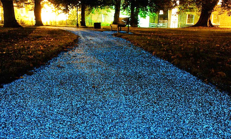 promenez-vous-sur-ce-magnifique-chemin-de-lumiere-ecologique-une