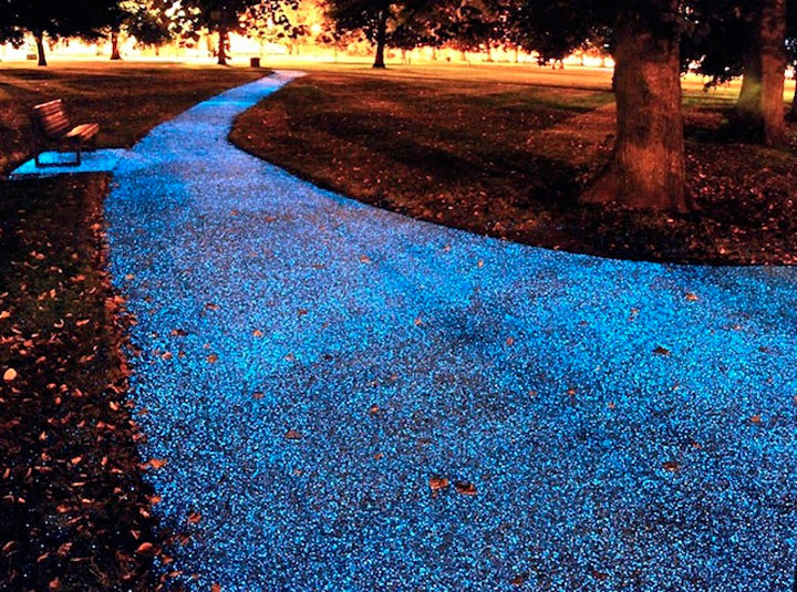 promenez-vous-sur-ce-magnifique-chemin-de-lumiere-ecologique1