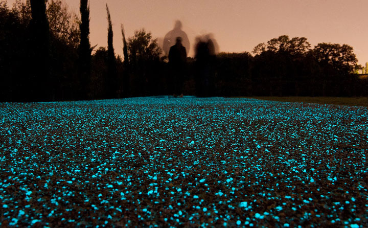 promenez-vous-sur-ce-magnifique-chemin-de-lumiere-ecologique5