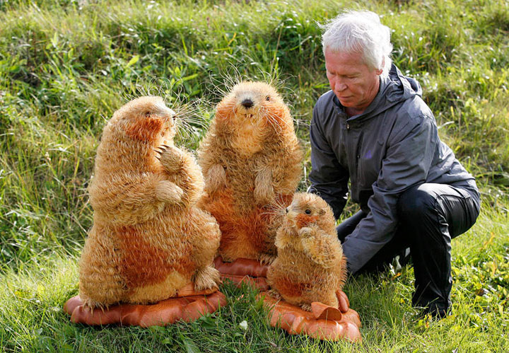 sergei-cree-de-magnifiques-sculptures-en-bois-danimaux-super-realiste3