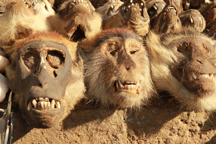 10-lieux-parmi-les-plus-flippants-sur-terre21