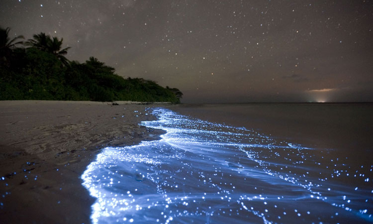 100-lieux-dune-beaute-surrealiste-que-vous-devez-absolument-visiter-avant-de-mourirUne