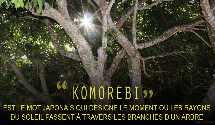 11-mots-qui-nont-aucun-equivalent-dans-les-autres-langues-4