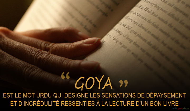 11-mots-qui-nont-aucun-equivalent-dans-les-autres-langues-9