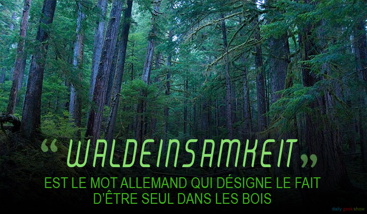 11-mots-qui-nont-aucun-equivalent-dans-les-autres-langues1