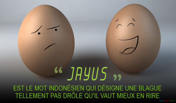 11-mots-qui-nont-aucun-equivalent-dans-les-autres-langues7