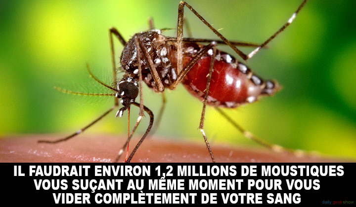 24-faits-insolites-a-propos-de-votre-corps-que-vous-ignoriez-peut-etre-1