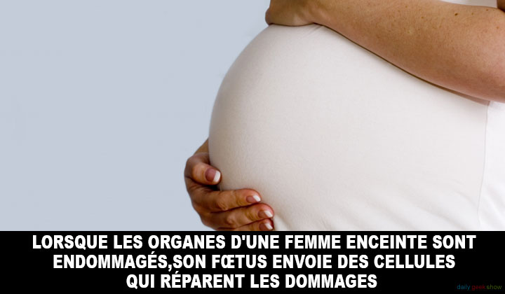 24-faits-insolites-a-propos-de-votre-corps-que-vous-ignoriez-peut-etre-11