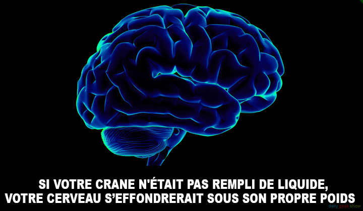 24-faits-insolites-a-propos-de-votre-corps-que-vous-ignoriez-peut-etre-21