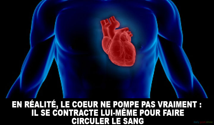 24-faits-insolites-sur-le-corps-humain-qui-vont-vous-etonner-10