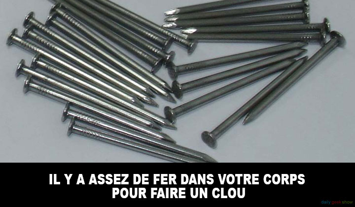 24-faits-insolites-sur-le-corps-humain-qui-vont-vous-etonner-11