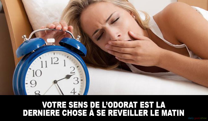 24-faits-insolites-sur-le-corps-humain-qui-vont-vous-etonner-12
