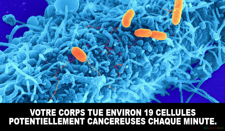 24-faits-insolites-sur-le-corps-humain-qui-vont-vous-etonner-9