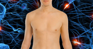 24-faits-insolites-sur-le-corps-humain-qui-vont-vous-etonner-une