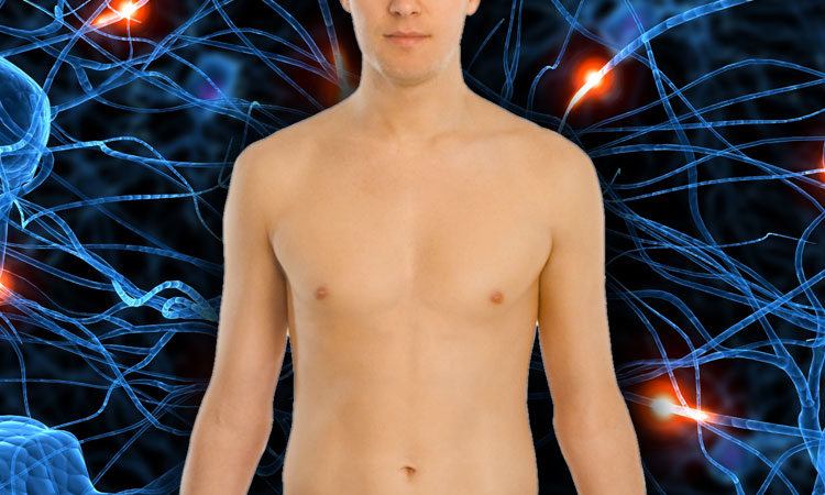 24-faits-insolites-sur-le-corps-humain-qui-vont-vous-etonner-une