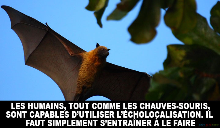 24-faits-insolites-sur-le-corps-humain-qui-vont-vous-etonner18