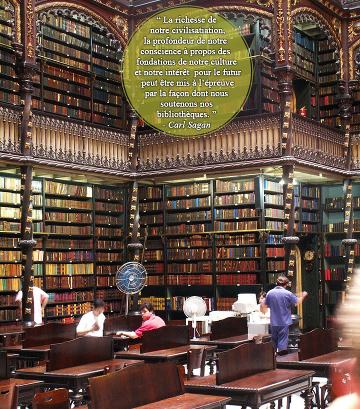 28-citations-qui-prouvent-que-les-bibliotheques-sont-de-veritables-tresors-quil-faut-sauvegarder-4