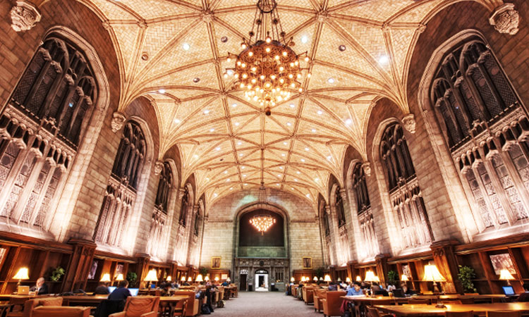 28-citations-qui-prouvent-que-les-bibliotheques-sont-de-veritables-tresors-quil-faut-sauvegarder-une