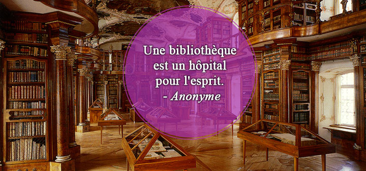 28-citations-qui-prouvent-que-les-bibliotheques-sont-de-veritables-tresors-quil-faut-sauvegarder13